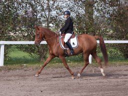 IMG_7854_web